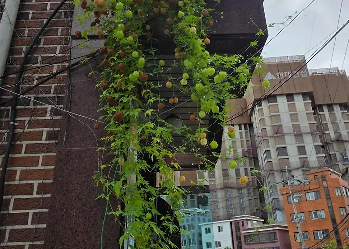 公寓 이태원역6분 무료주차 침실2침대2 용산 홍대 가족 장기환영 首爾